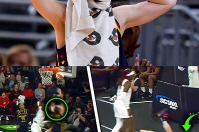 Caitlin Clark Stuns WNBA With Gritty Comeback After Hard Foul, Earning Respect Across the League /dn