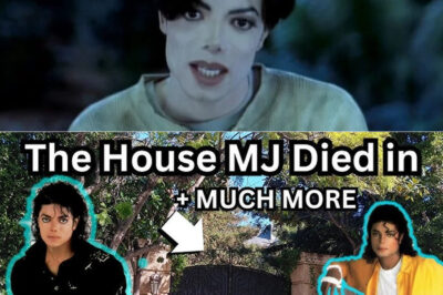 Michael Jackson’s Secret Vault Discovered: What Investigators Found Inside Left the World Stunned /dn