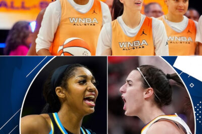 SHOCK!!! “Angel Reese Exposed?” — The Brutal Truth About the WNBA’s Collapse After Caitlin Clark’s Injury /dn