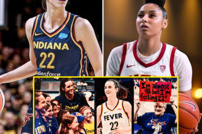 Finally, Someone Said It!’ Longtime WNBA Player Shares Unexpected View on Caitlin Clark /dn