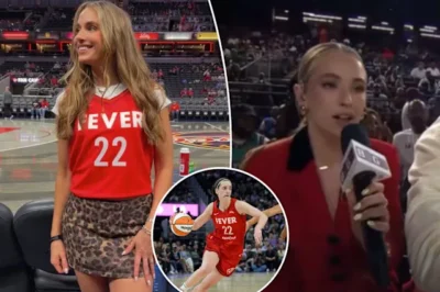 SHOCK: Big3 commentator Rachel DeMita has been fired after posting a controversial tweet about Caitlin Clark…/hi