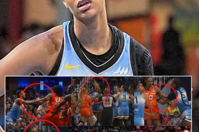 “Unearned Hype?” Angel Reese SNAPS After Viral Hair-Pulling Clash — Tension Explodes in WNBA Showdown 💥/hi