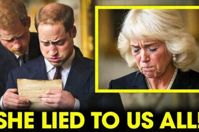 Princess Diana’s Lost Letter to Prince William Finally Revealed