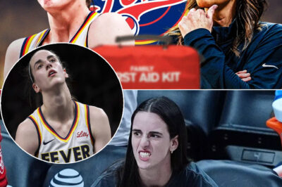 WNBA’s Confounding Response No Evidence of Racism at Sky-Fever Match?