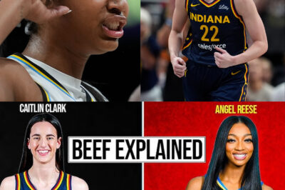 DID CAITLIN CLARK JUST MAKE ANGEL REESE QUIT? — FANS STUNNED BY SHOCKING BENCHING, WALK-OFF & SILENCE THAT FOLLOWED /dn