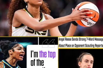 Angel Reese Drops 7 Words That Every WNBA Opponent Feared to Hear /dn