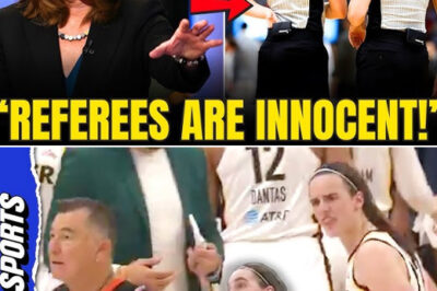 🚨 WNBA IN CRISIS: COMMISSIONER PANICS After Caitlin Clark Suffers GROIN INJURY & BREAKS DOWN Amid Corrupt Referee Feud! | “This Is Bigger Than Basketball”/hi