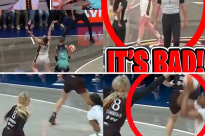 🎥 “CAUGHT ON CAMERA!” – WNBA Referee EXPOSED for Allegedly Cheating in Favor of Las Vegas Aces — Fans OUTRAGED as SHOCKING Footage Emerges!/hi