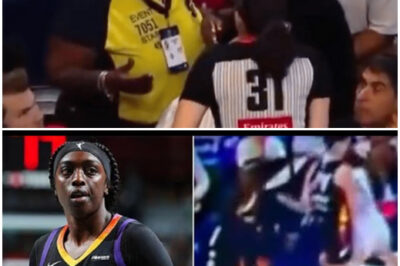 VIDEO: Social media is in an uproar over criticism of the WNBA for kicking a fan off the court for mocking a player who lost his wig in the middle of a game./hi