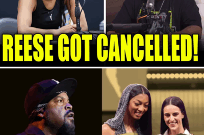 “SHE’S NOT CAITLIN CLARK!” Ice Cube SHUTS DOWN Angel Reese as Major Sponsorships BACK OUT—The $5M Offer That Never Came!