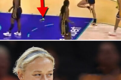 VIDEO: Sophie Cunningham Got Drilled By A Flying Green D*ldo In The Middle Of Fever-Sparks Game/hi