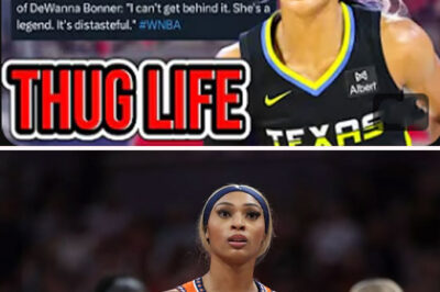 TOTAL MELTDOWN: Dijonai Carrington EXPLODES at Indiana Fever Fans — Screams “Y’all Don’t Even Know the Game!” as Security Rushes In!/hi