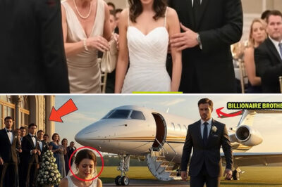 Husband’s Family Ordered a Simple Woman to Leave the Wedding — Then Her Billionaire Brother’s…/hi