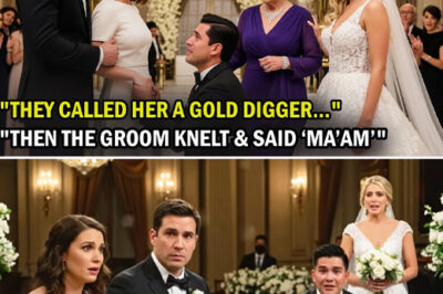 Billionaire Brings a Simple Girl to His Sister’s Wedding—The Groom Calls Her “Ma’am” and Stuns…/hi