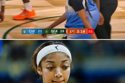 WNBA Commentator Disrespectfully Targets Angel Reese During Chicago Sky-Seattle Storm Game [VIDEO]/hi