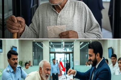 The bank manager escorted the elderly man out. But when the truth came out, the ground beneath his feet slipped away!/hi