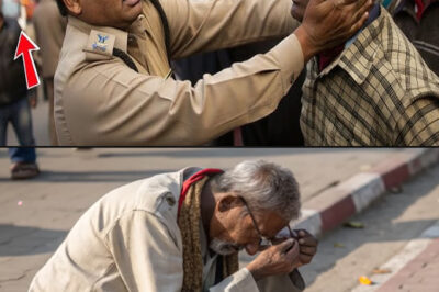 The minister slapped the elderly soldier in front of everyone…but within a few hours his chair was gone./hi